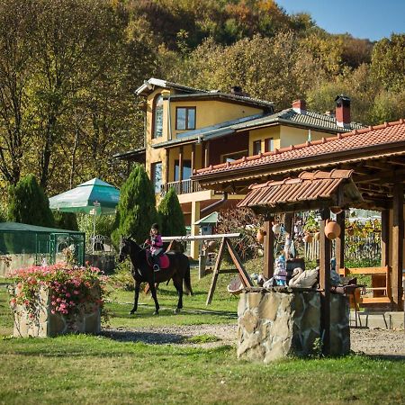 Guest House Alfa Daniel Balkanets  Εξωτερικό φωτογραφία
