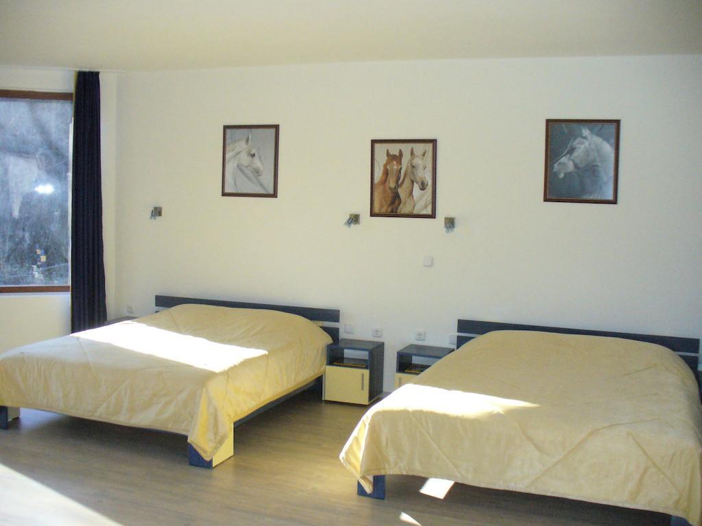 Guest House Alfa Daniel Balkanets  Δωμάτιο φωτογραφία