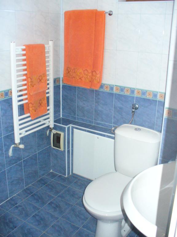 Guest House Alfa Daniel Balkanets  Δωμάτιο φωτογραφία