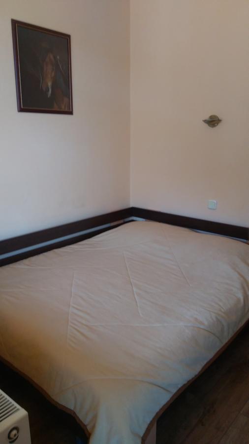 Guest House Alfa Daniel Balkanets  Εξωτερικό φωτογραφία