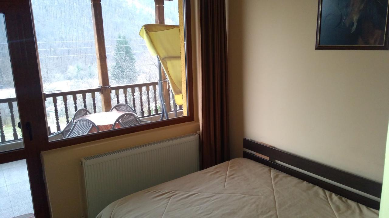 Guest House Alfa Daniel Balkanets  Εξωτερικό φωτογραφία