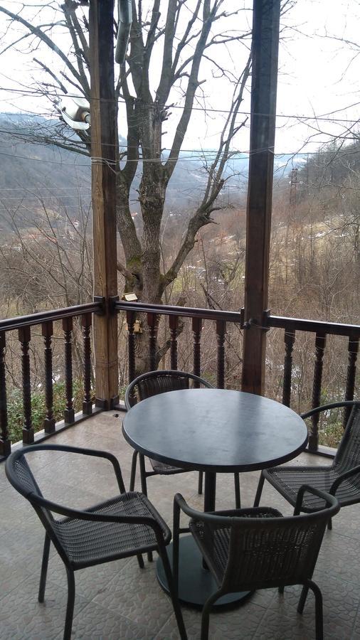 Guest House Alfa Daniel Balkanets  Εξωτερικό φωτογραφία