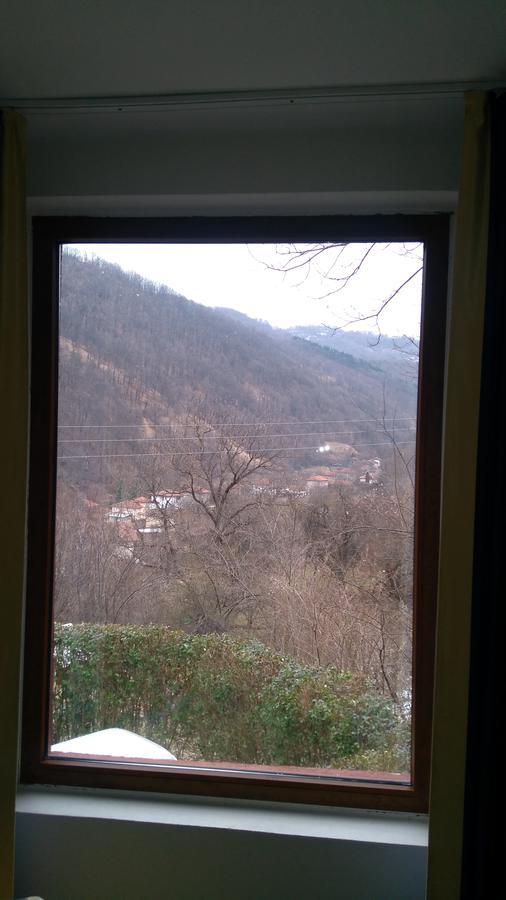 Guest House Alfa Daniel Balkanets  Εξωτερικό φωτογραφία