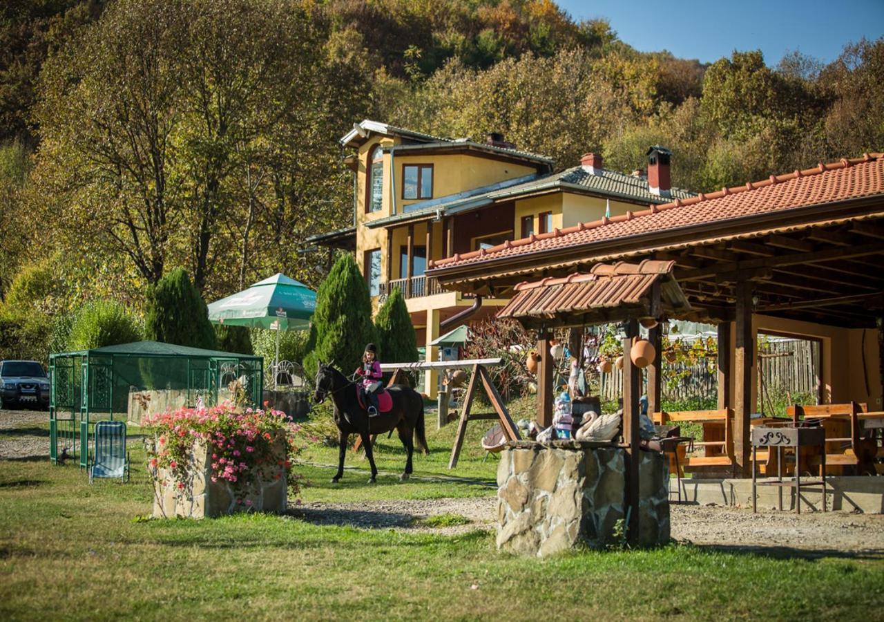 Guest House Alfa Daniel Balkanets  Εξωτερικό φωτογραφία